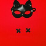 Ontdek de wereld van gedurfde mode: Fetish kleding en stijlvolle parenclub outfits